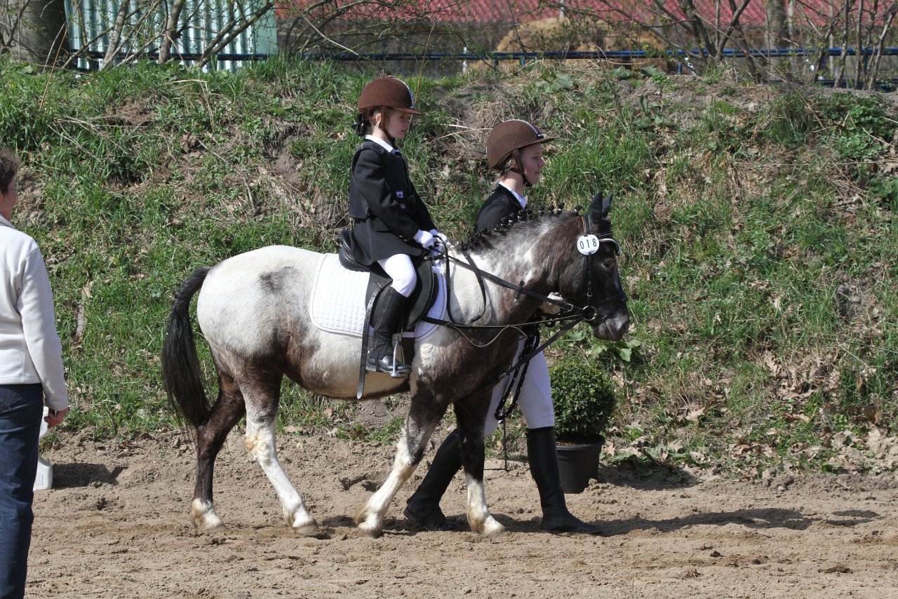 Bild 621 - WBO-Turnier am 9.4.11